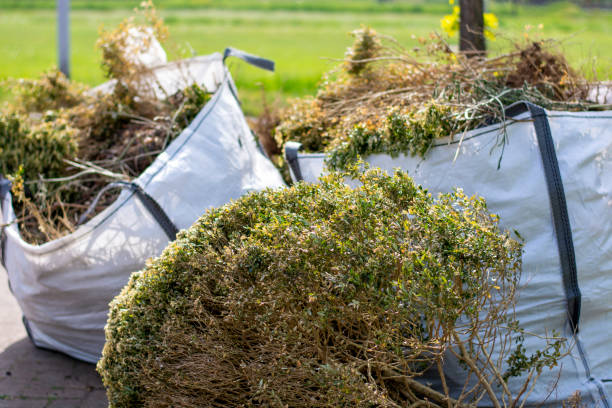 Best Appliance Removal Near Me  in Silver Lakes, CA
